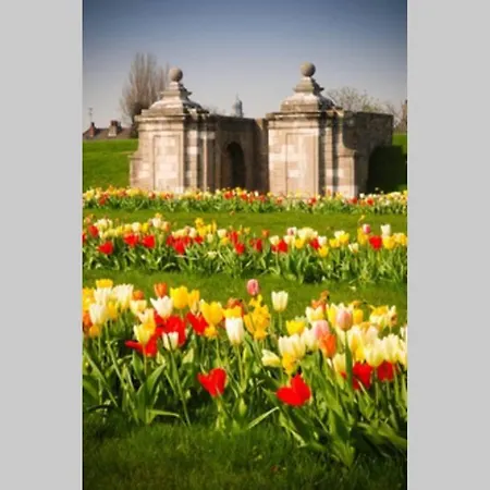 Au Coeur Des Remparts, Du Chateau* *